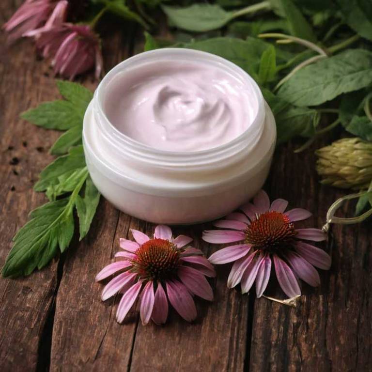 herbal creams for itchy-scalp Echinacea angustifolia