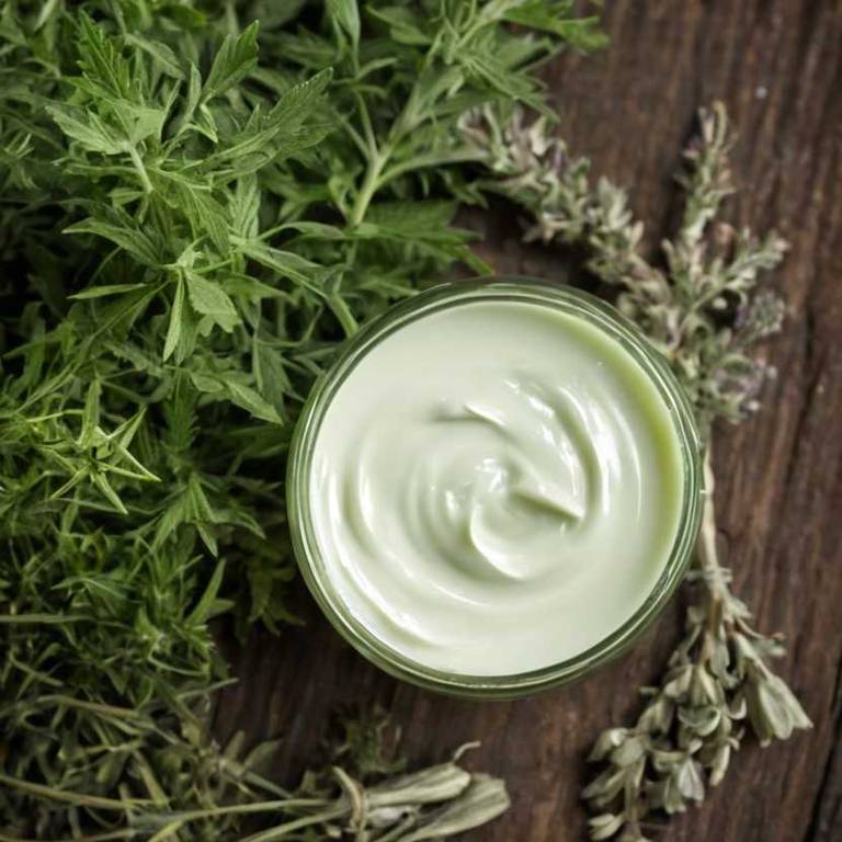 herbal creams for jaw-pain Artemisia absinthium