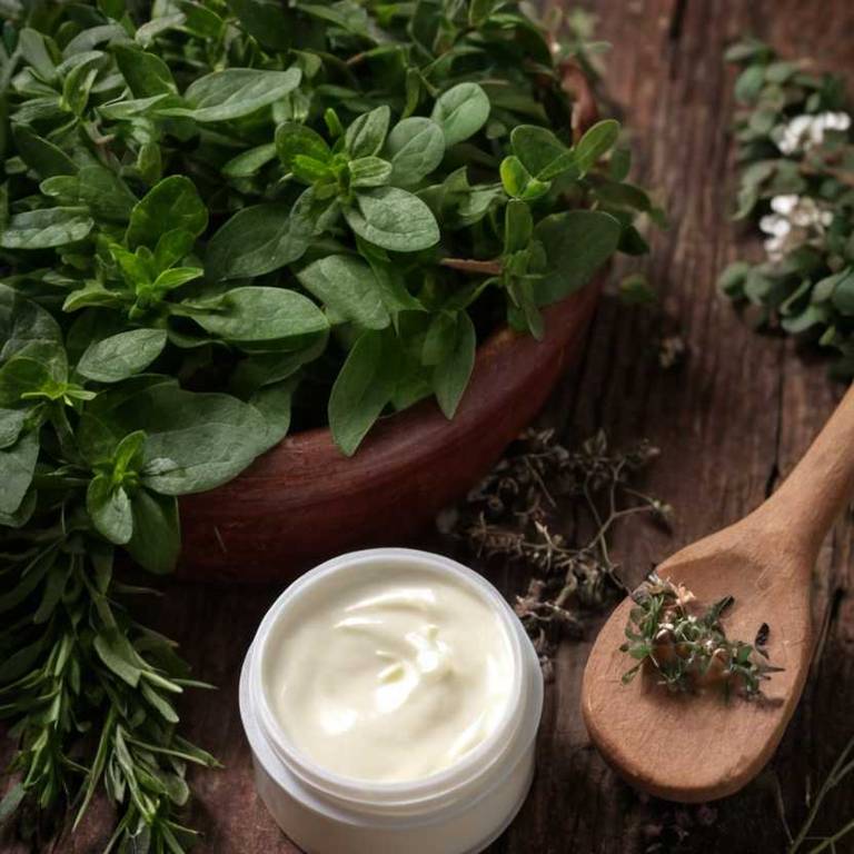 herbal creams for joint-stiffness Gaultheria procumbens