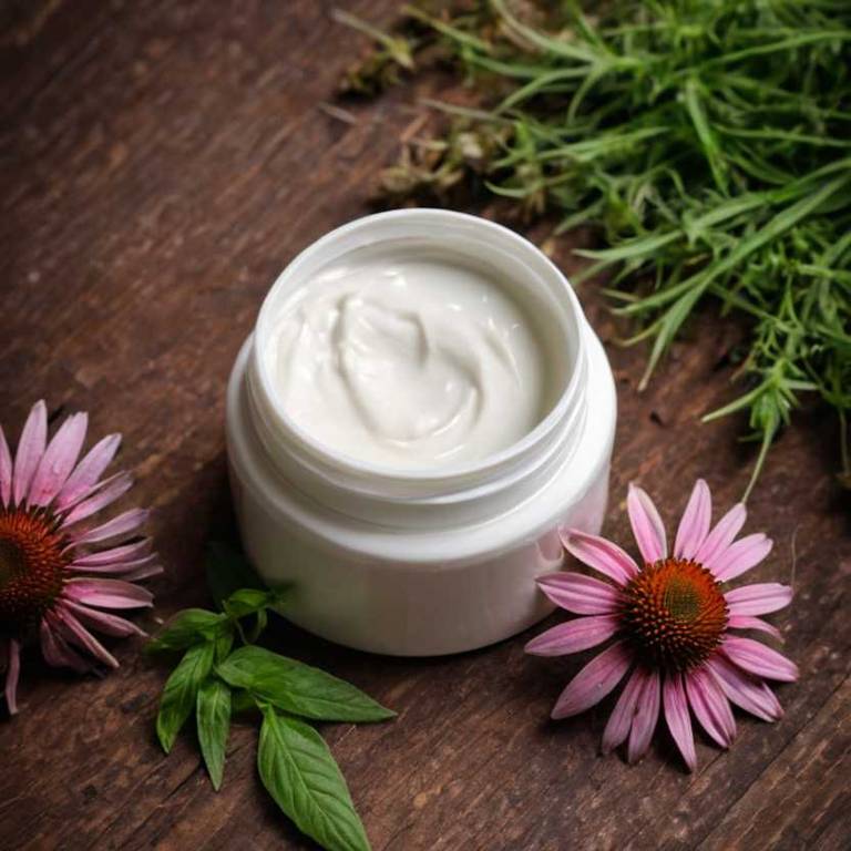 herbal creams for lymph-node-swelling Echinacea angustifolia