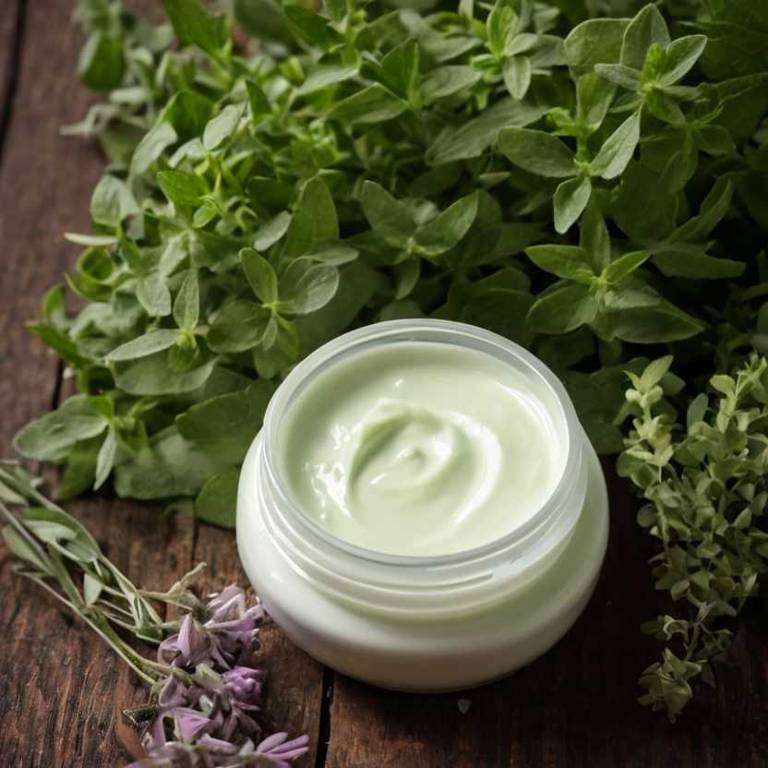 herbal creams for nail-fungus Origanum vulgare