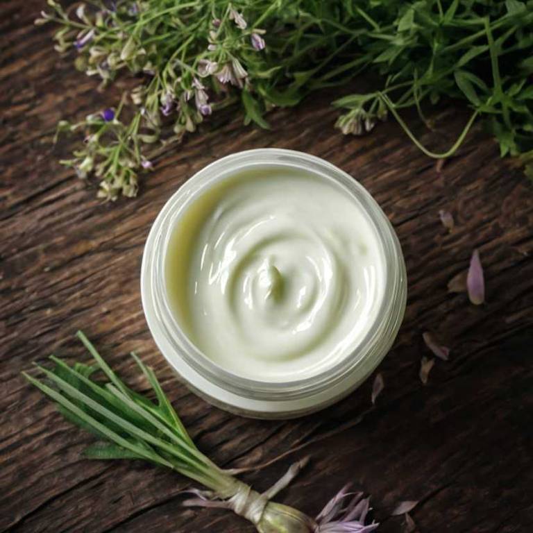 herbal creams for open-wounds Allium sativum