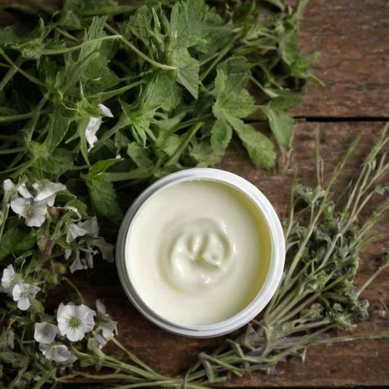 herbal creams for rashes Althaea officinalis