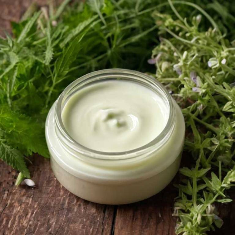 herbal creams for runny-nose Verbena officinalis