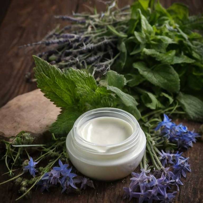 herbal creams for sleep-deprivation Borago officinalis