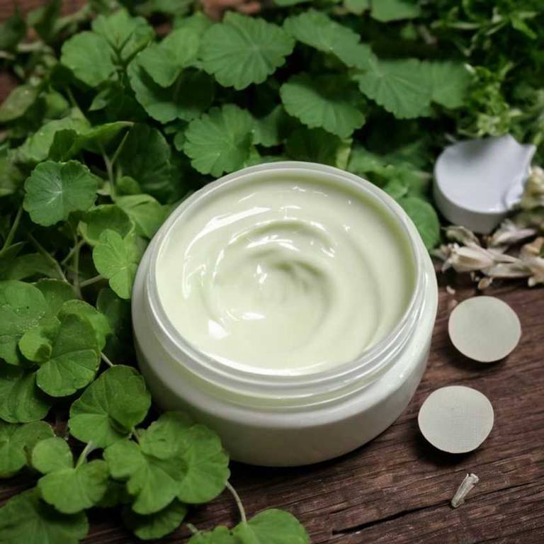 herbal creams for sleep-deprivation Centella asiatica