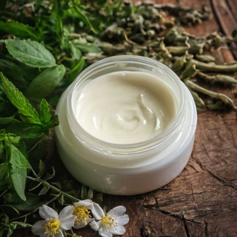 herbal creams for swollen-gums Camellia sinensis