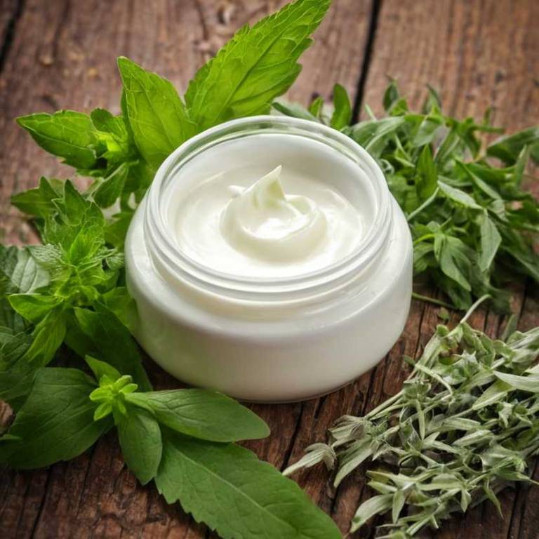 herbal creams for swollen-gums Stevia rebaudiana