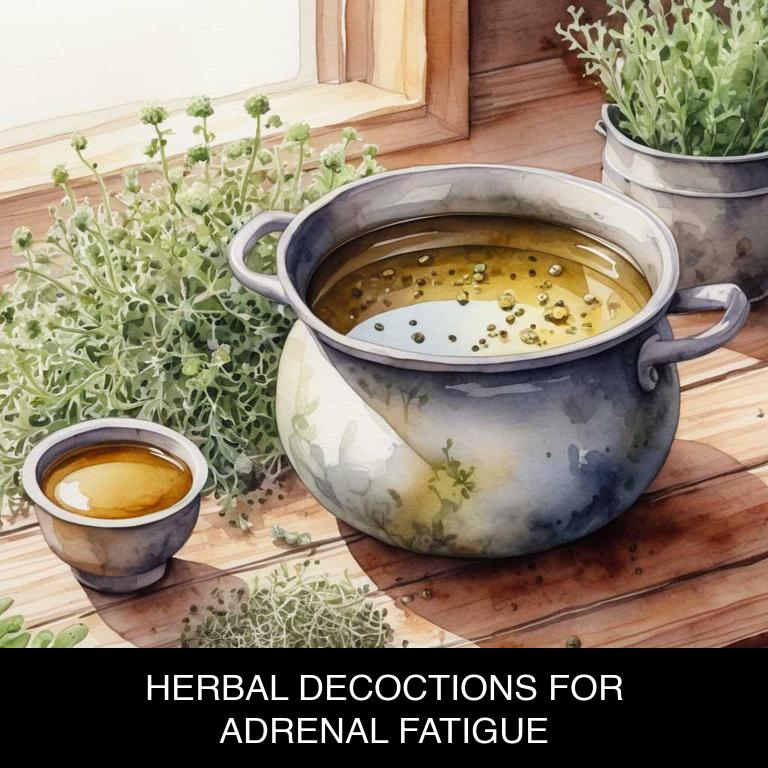 herbal decoctions for adrenal-fatigue overview