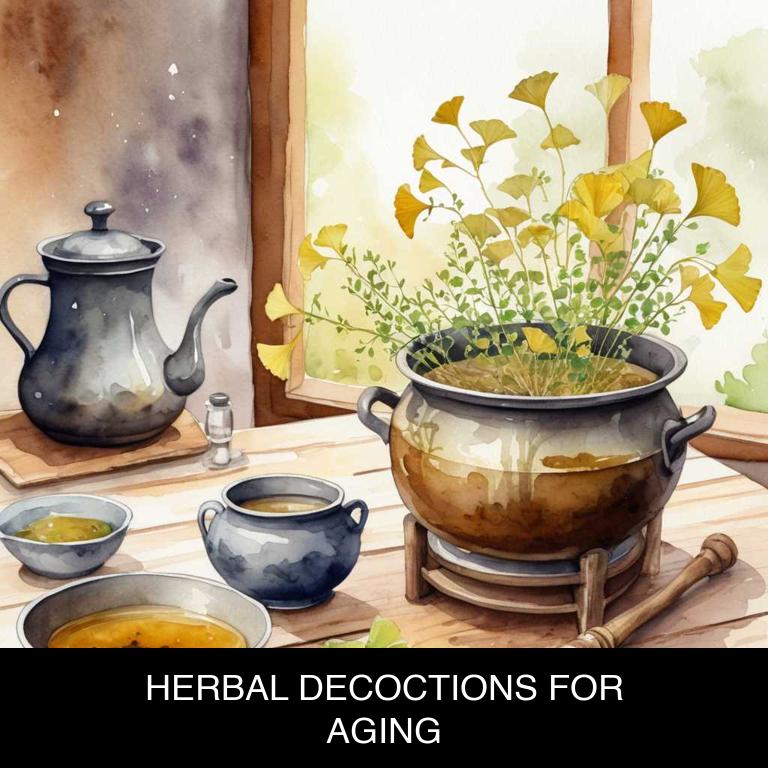 herbal decoctions for aging overview