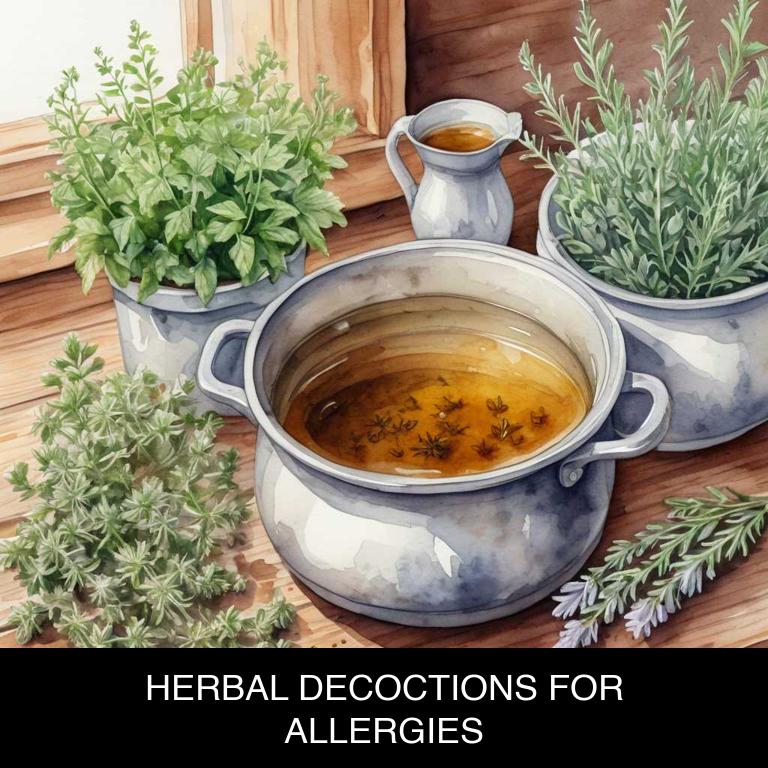 herbal decoctions for allergies overview