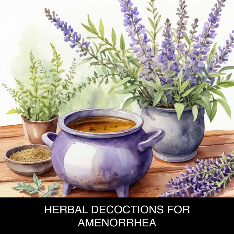 herbal decoctions for amenorrhea overview