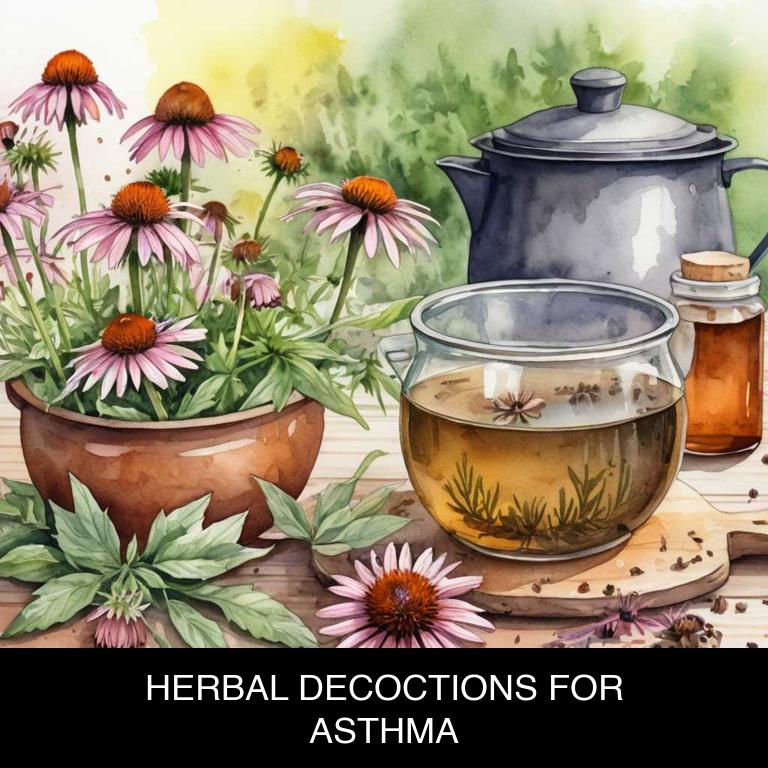 herbal decoctions for asthma overview