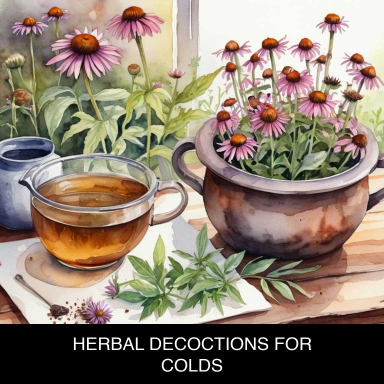 herbal decoctions for colds overview