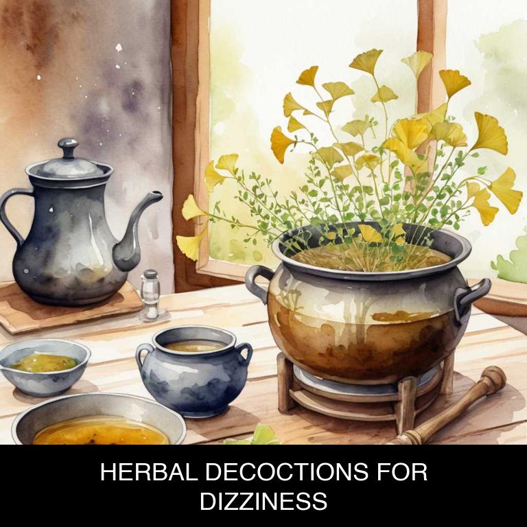 herbal decoctions for dizziness overview