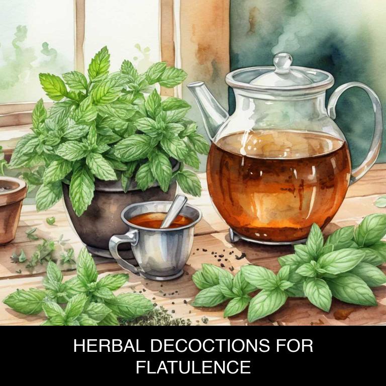 herbal decoctions for flatulence overview