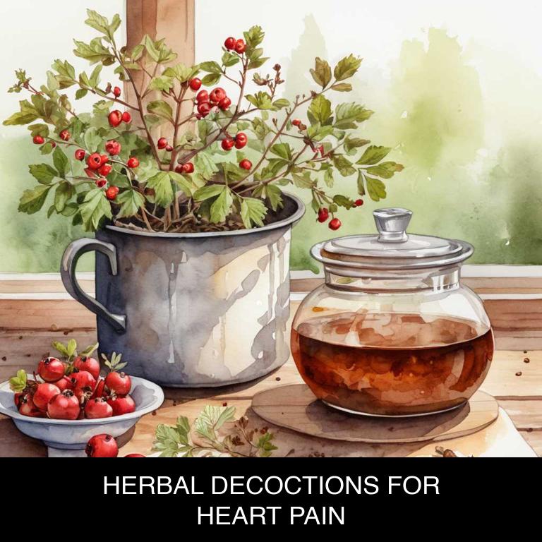 herbal decoctions for heart-pain overview