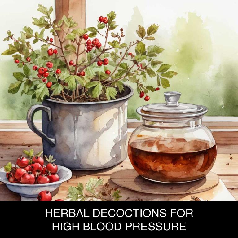 herbal decoctions for high-blood-pressure overview