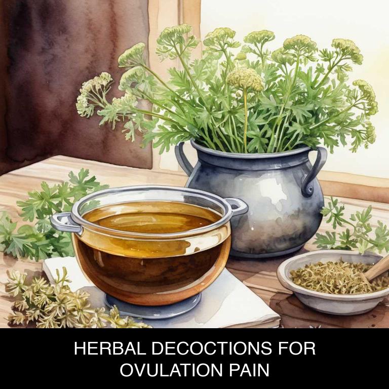 herbal decoctions for ovulation-pain overview