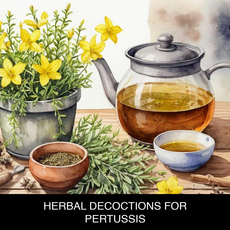 herbal decoctions for pertussis overview