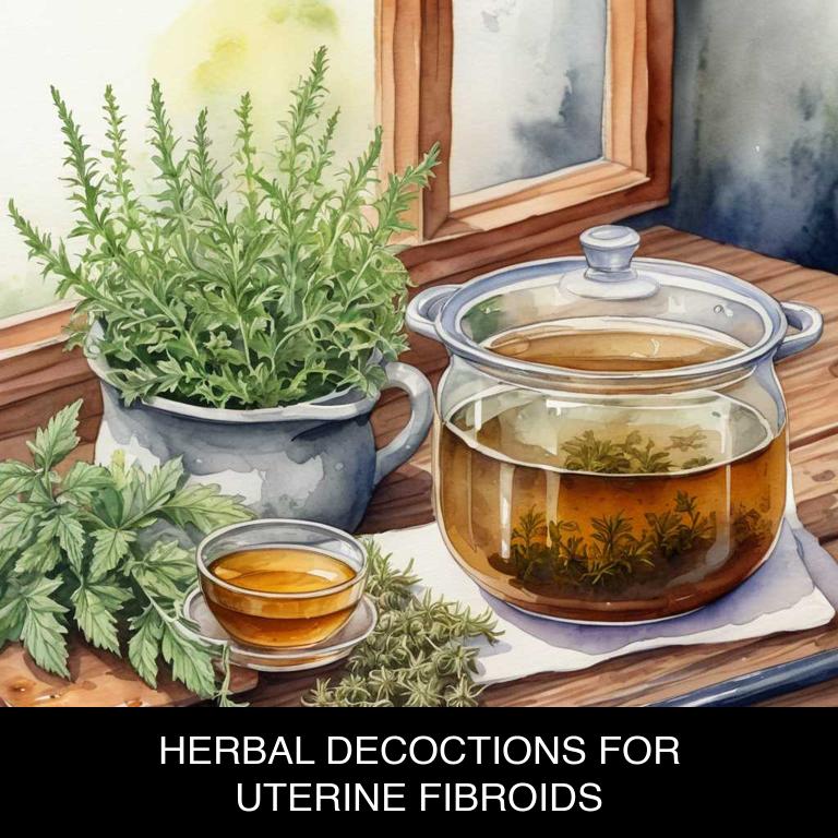 herbal decoctions for uterine-fibroids overview