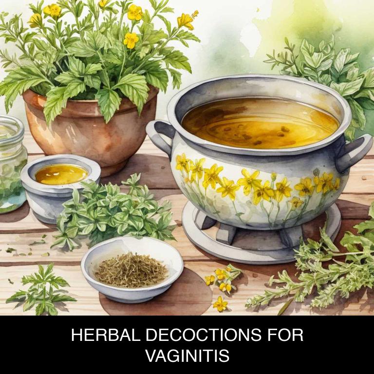 herbal decoctions for vaginitis overview