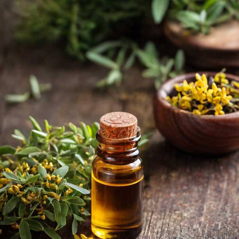 herbal essential-oils for cough overview