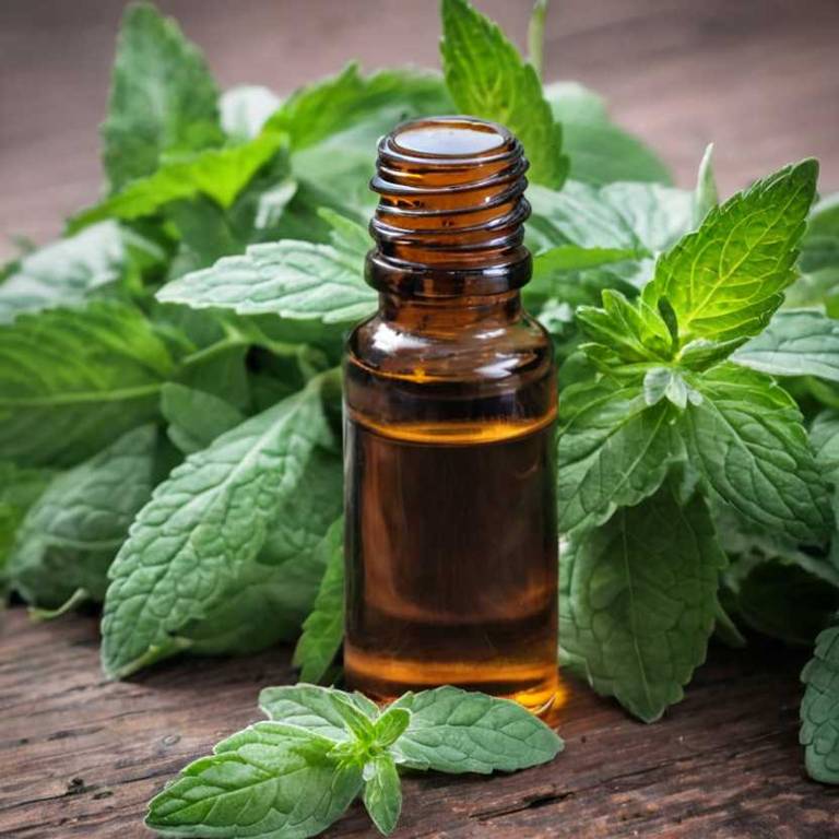 herbal essential-oils for dry-nose Mentha x piperita