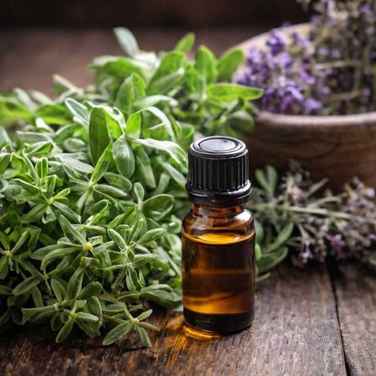 herbal essential-oils for dry-nose Thymus vulgaris