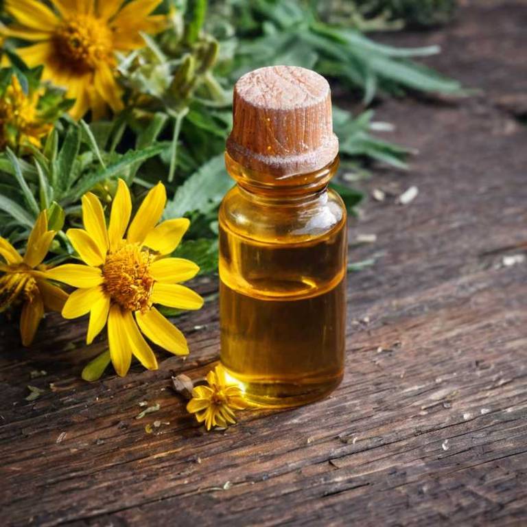 herbal essential-oils for knee-swelling Arnica montana