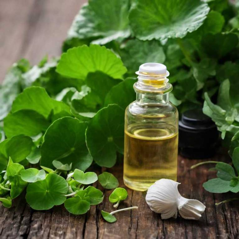 herbal essential-oils for knee-swelling Centella asiatica