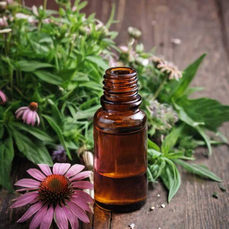 herbal essential-oils for knee-swelling Echinacea angustifolia