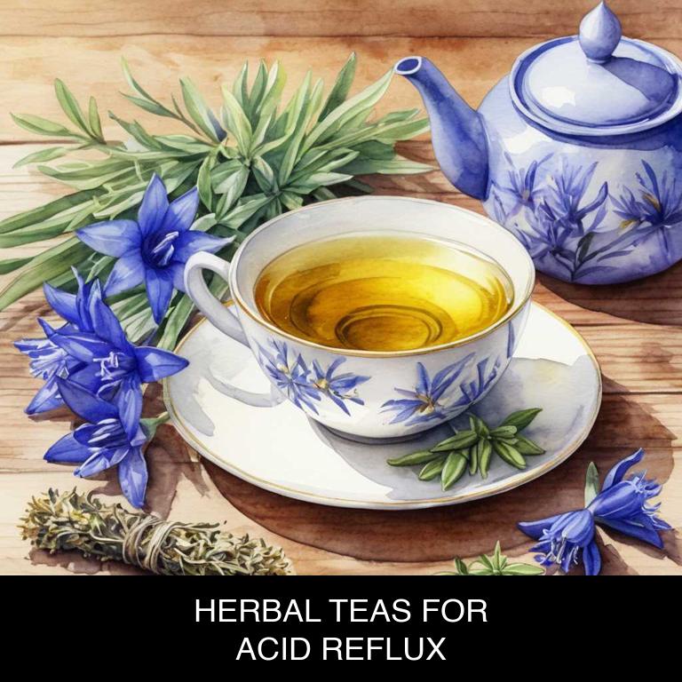 herbal teas for acid-reflux overview