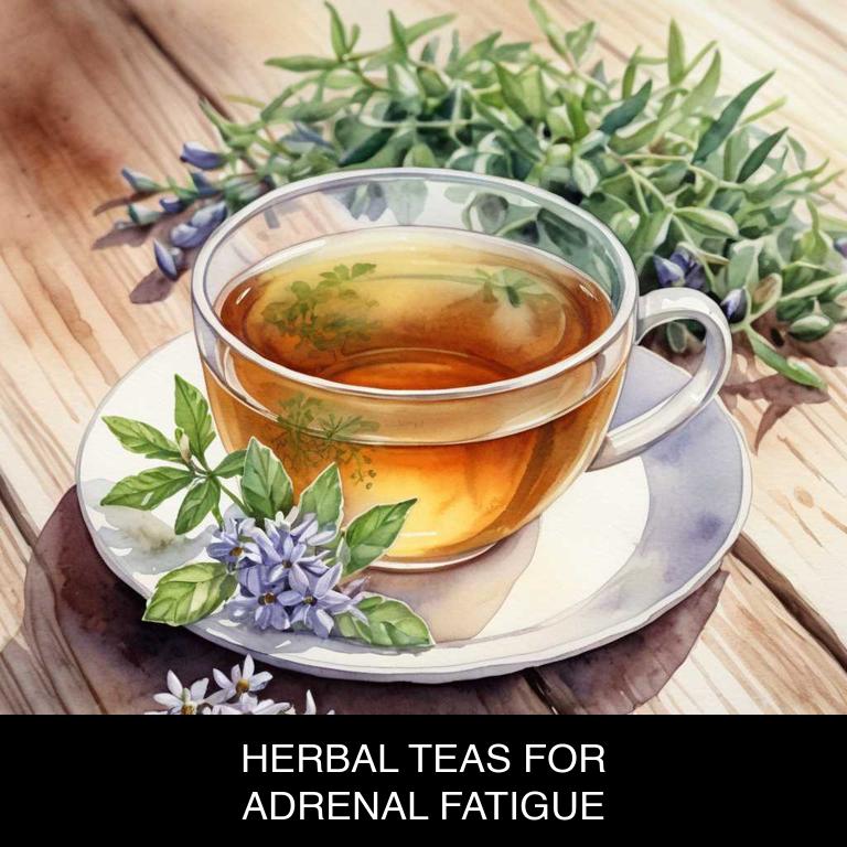 herbal teas for adrenal-fatigue overview