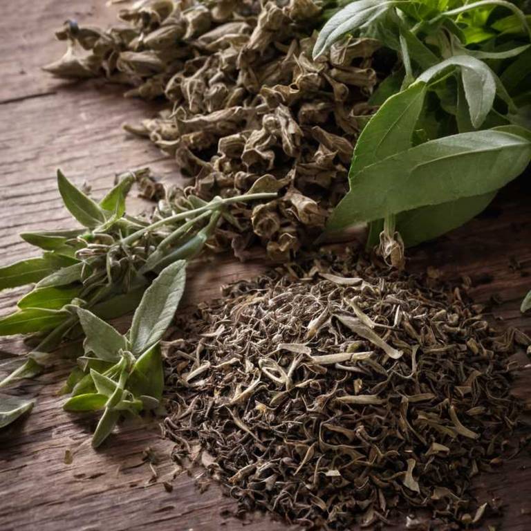 herbal teas for aging Salvia officinalis