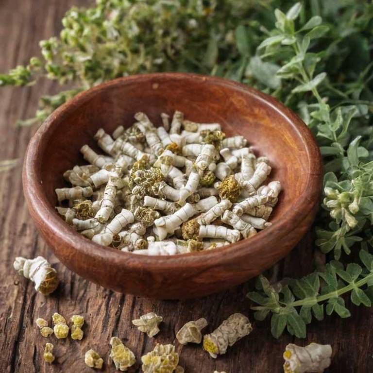 herbal teas for akylosing-spondylitis Boswellia serrata