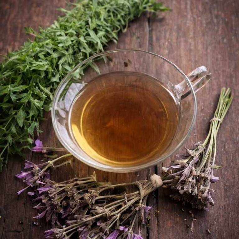 herbal teas for akylosing-spondylitis Valeriana officinalis