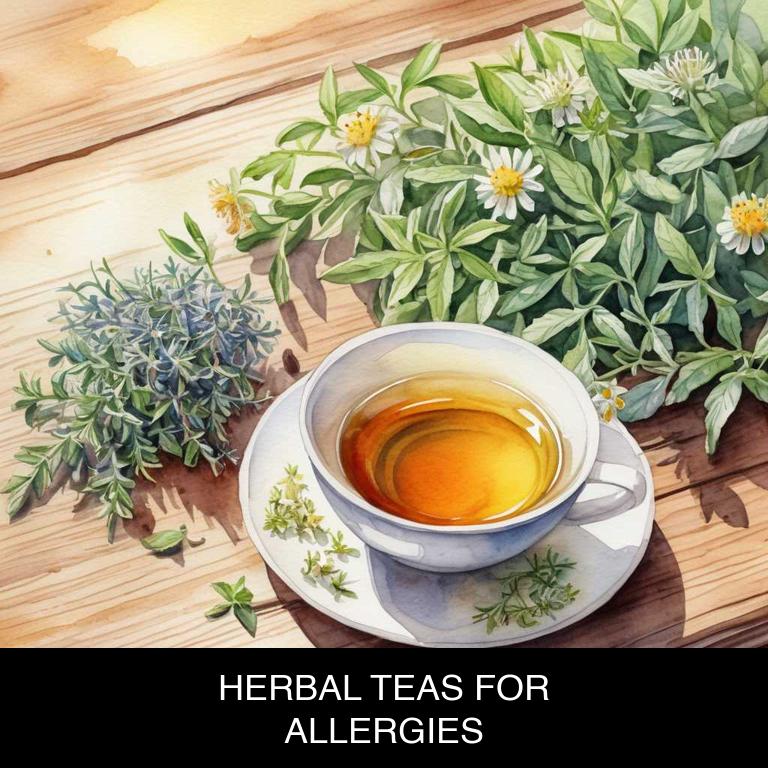 herbal teas for allergies overview