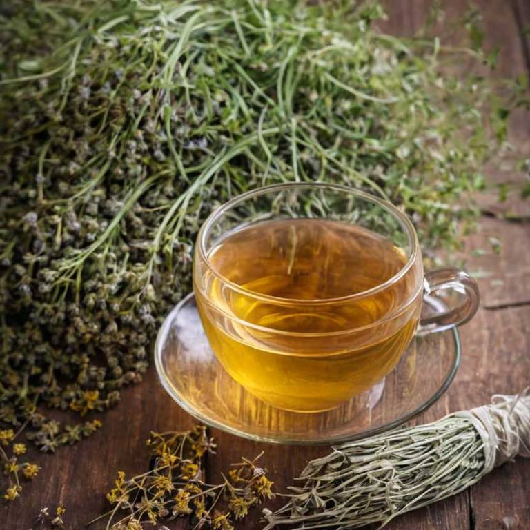 herbal teas for amenorrhea Foeniculum vulgare