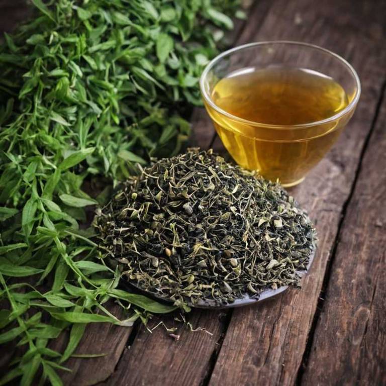 herbal teas for amenorrhea overview