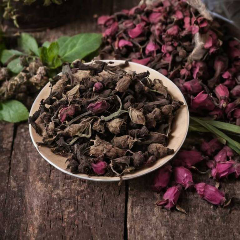 herbal teas for amenorrhea Rehmannia glutinosa