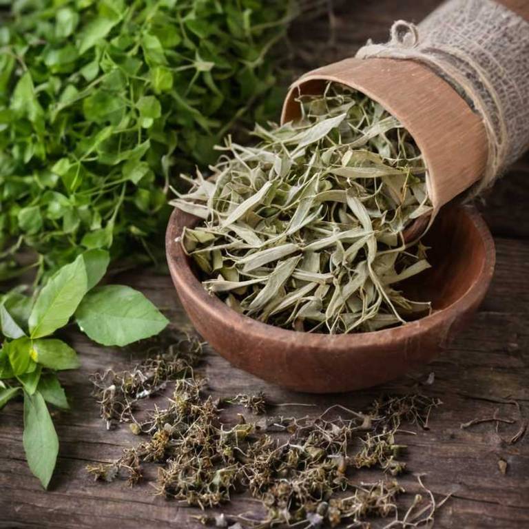 herbal teas for angina Tilia platyphyllos