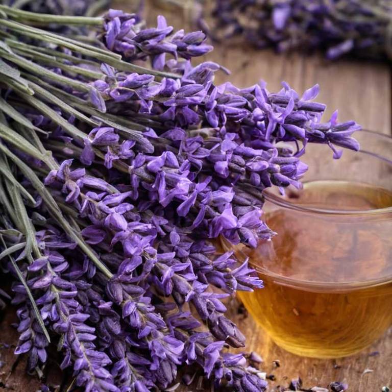 herbal teas for arthritis Lavandula angustifolia