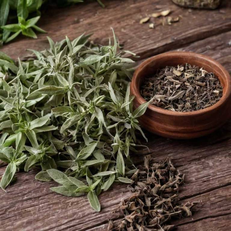 herbal teas for athlete-foot Salvia officinalis