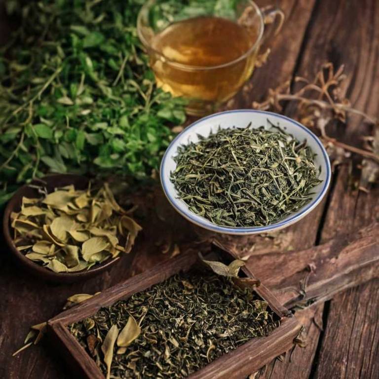 herbal teas for baldness Ginkgo biloba