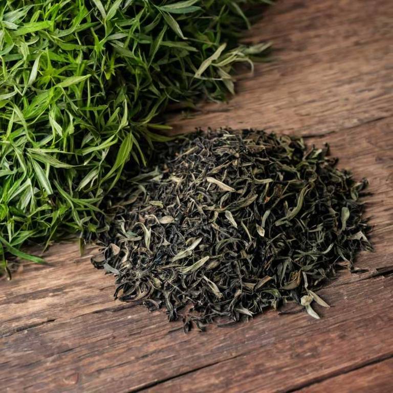 herbal teas for baldness Serenoa repens