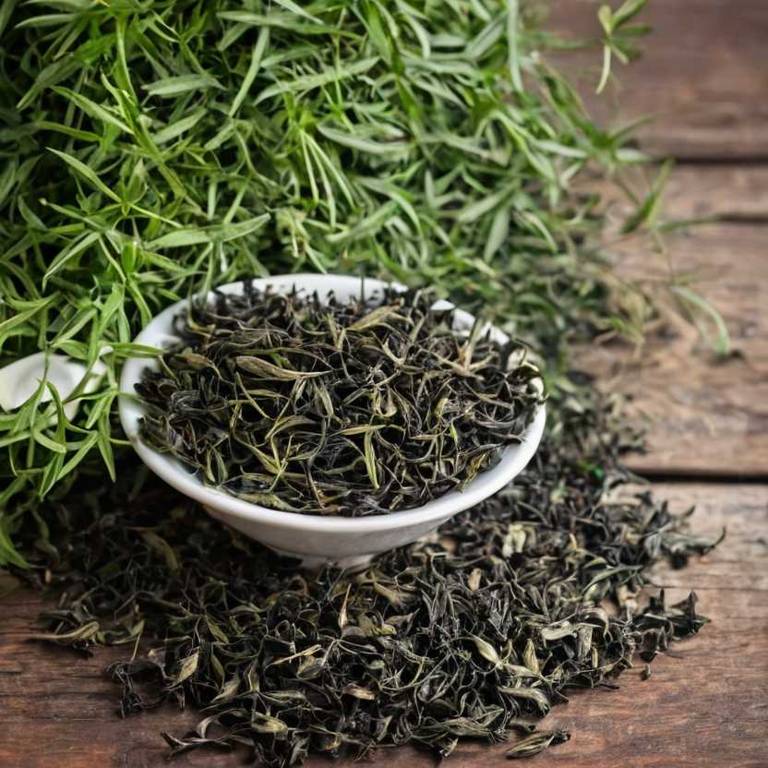 herbal teas for bladder-infection Serenoa repens