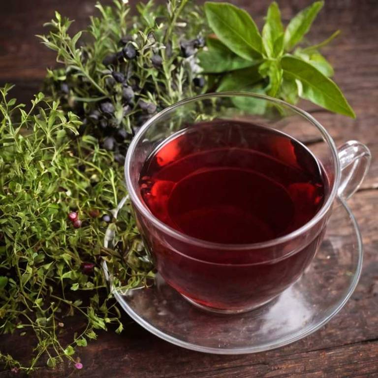 herbal teas for bladder-infection Vaccinium macrocarpon