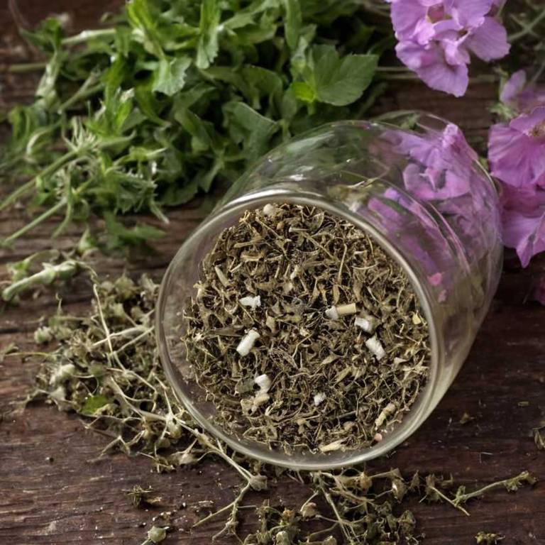 herbal teas for bladder-pain Althaea officinalis