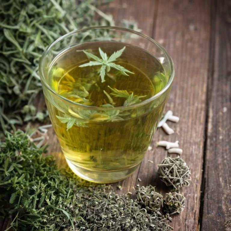 herbal teas for body-odor Artemisia absinthium